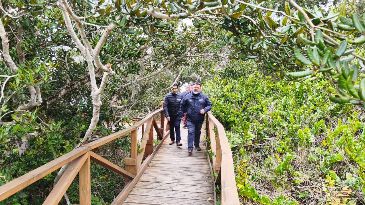 CONAF informa reapertura de áreas silvestres protegidas tras afectaciones del temporal de julio